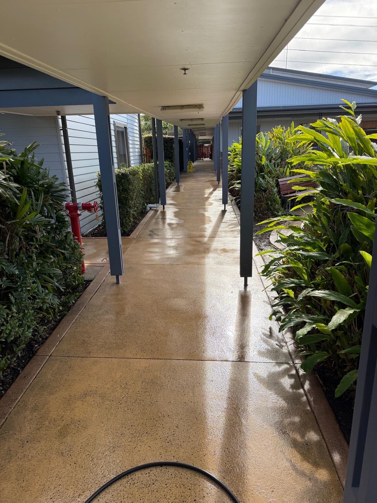 External areas & pressure cleaning